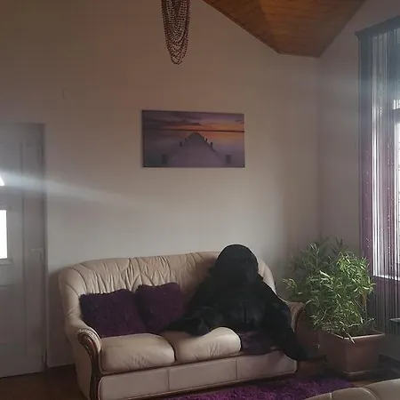 Casa vacanze Magnolia Nyaralo Balatonfenyves