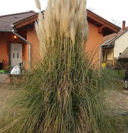 Casa vacanze Magnolia Nyaralo